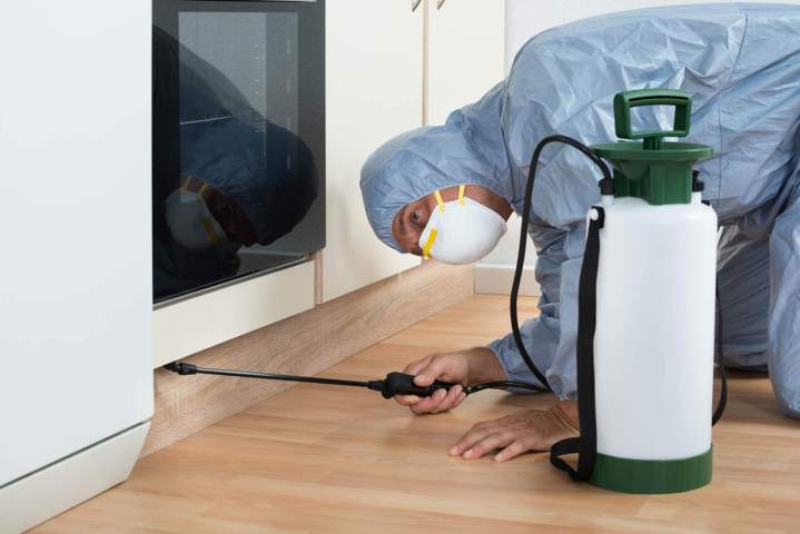 Service désinfection professionnelle Bastia
