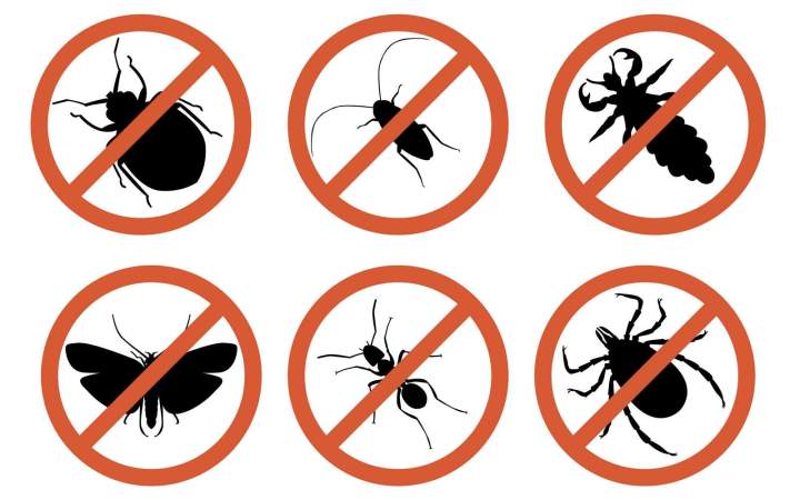 Élimination globale des ravageurs volants et rampants du quotidien.