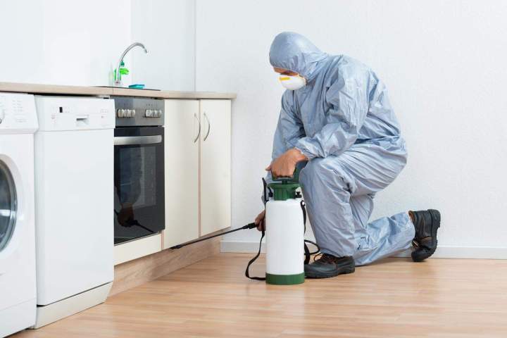 Sélection d'équipements biocides professionnels pour agir efficacement en autonomie.